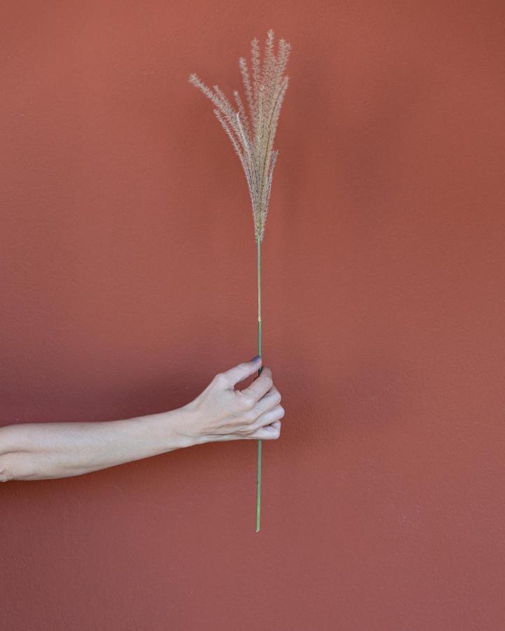 Santa Lucia Maccarese - Residenza Agricolaヴィラ エクステリア 写真